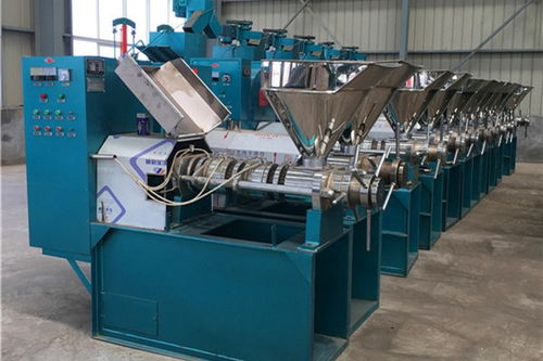 內江興昌 專業生產銷售榨油機設備的可靠伙伴